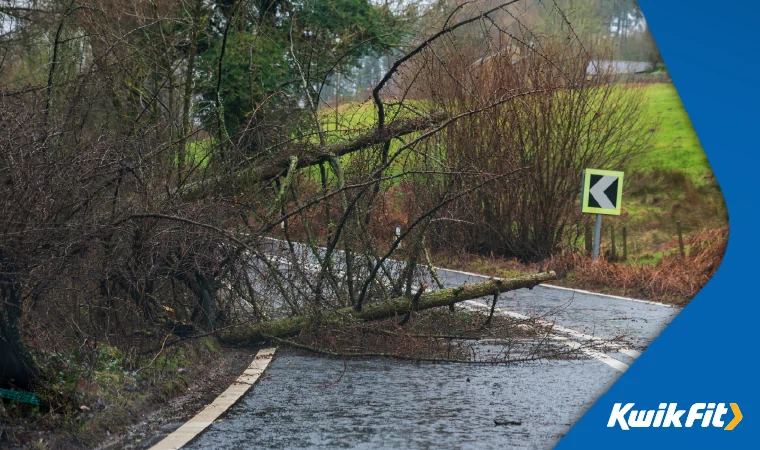 trees and debris can fall on the road